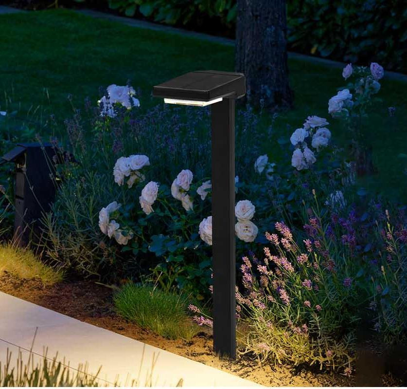 چراغ های LED با انرژی خورشیدی با اتوماتیک روشن / خاموش 6 پی سی LED IP65 ضد آب