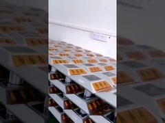 گل میخ بادوام خورشیدی بادوام برای ایمنی مسیر